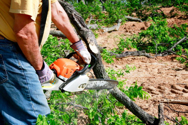 Soil Testing and Treatment in Shasta, CA